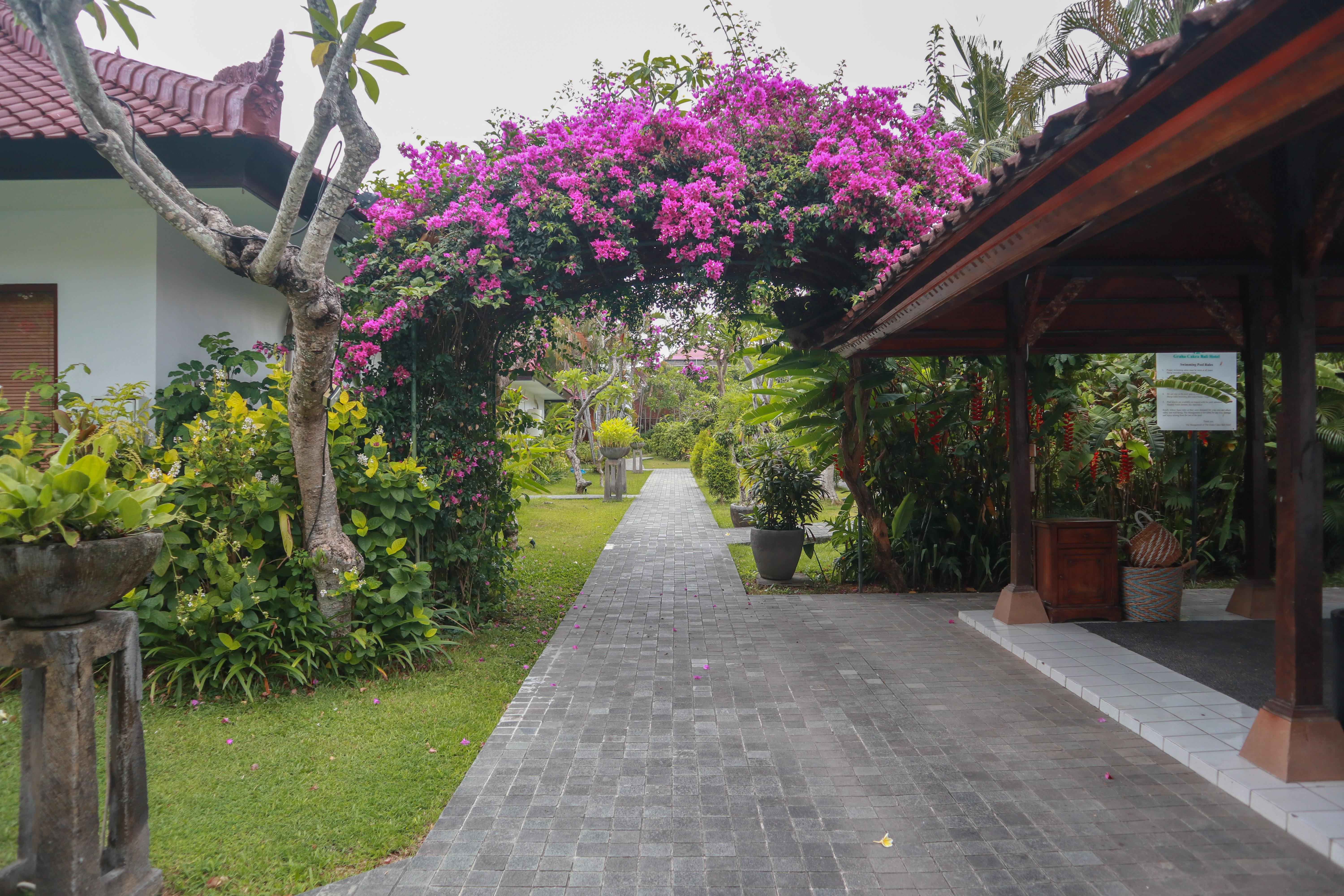The Cakra Hotel Denpasar Extérieur photo